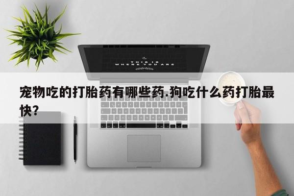 打胎药私人联系方式微信宠物吃的打胎药有哪些药.狗吃什么药打胎最快？