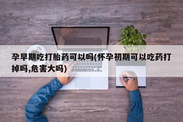 打胎药私人联系方式微信孕早期吃打胎药可以吗(怀孕初期可以吃药打掉吗,危害大吗)
