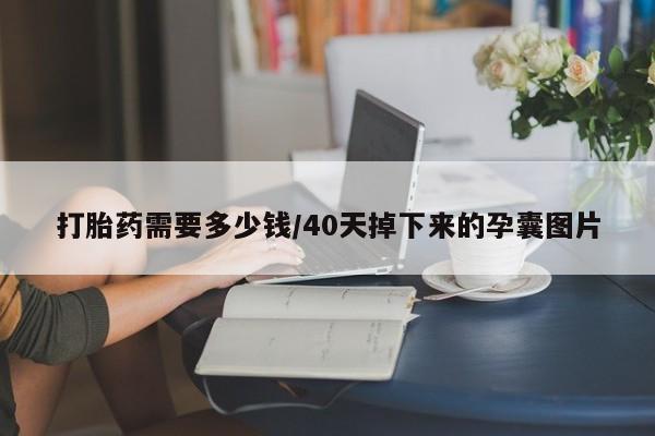 打胎药私人联系方式微信打胎药需要多少钱/40天掉下来的孕囊图片